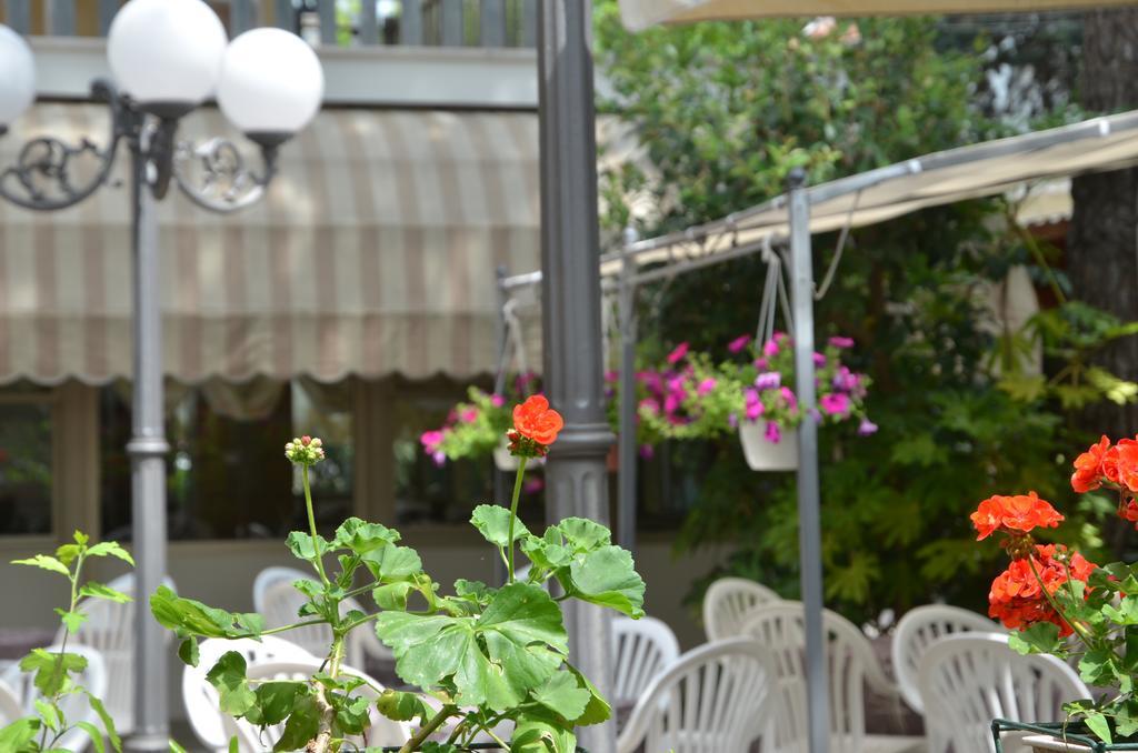 Hotel Monique Cervia Dış mekan fotoğraf