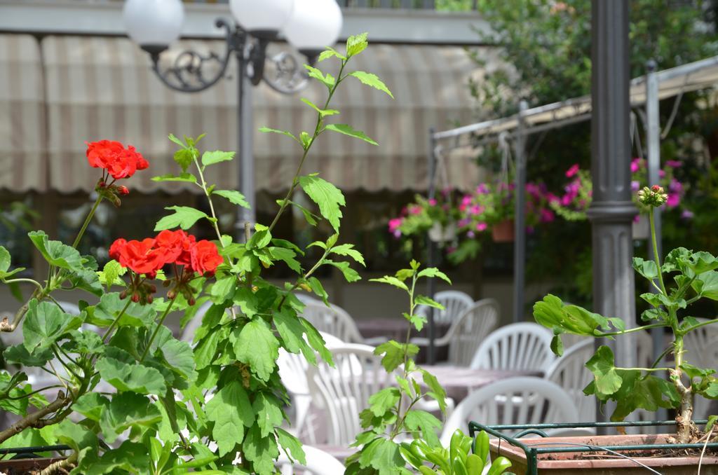 Hotel Monique Cervia Dış mekan fotoğraf